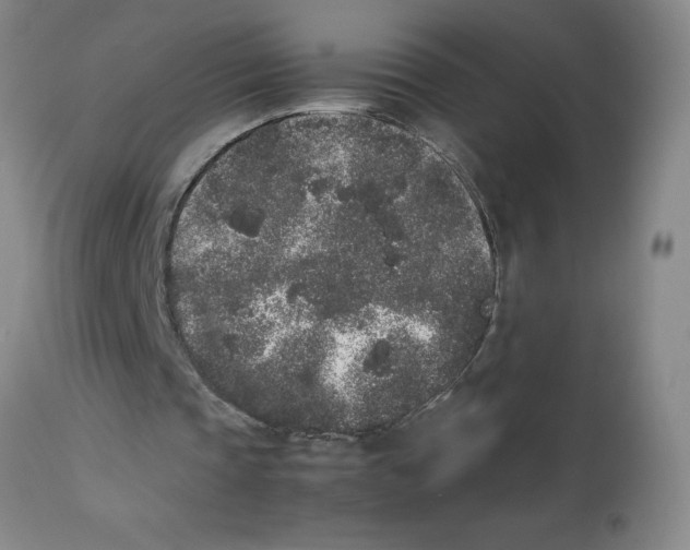 X0000112850337200909181741