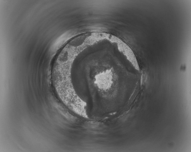 X0000112850339200909181741