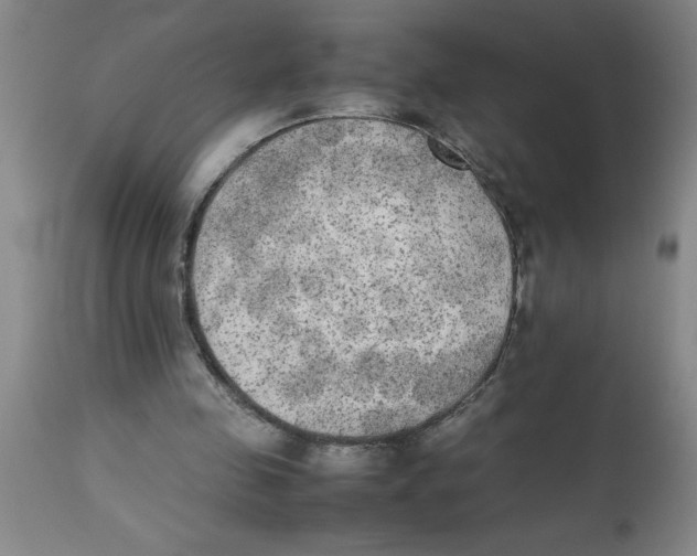 X0000112850341200909181741