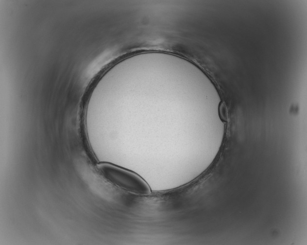 X0000112850344200909181742