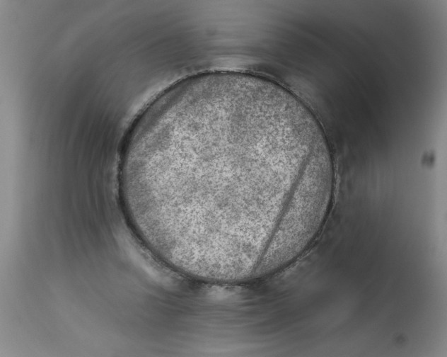 X0000112850346200909181742