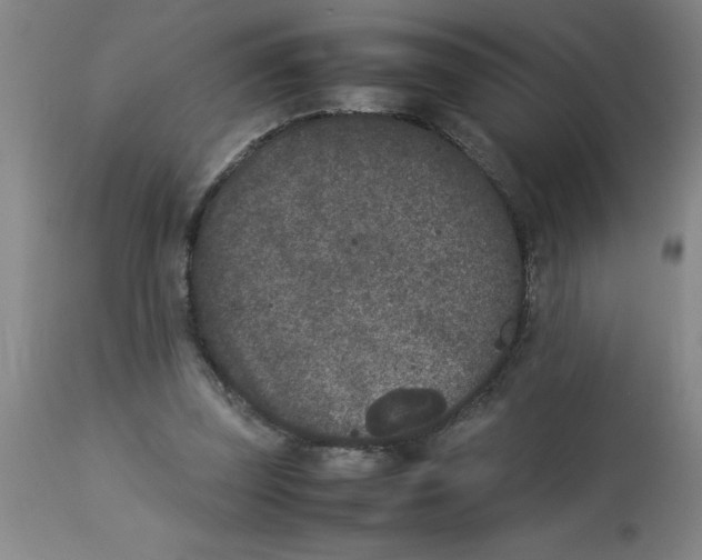 X0000112850347200909181742