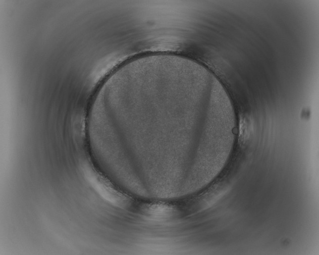 X0000112850348200909181742