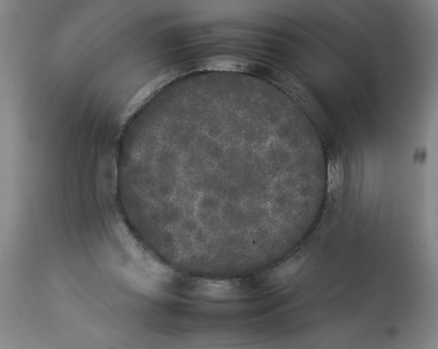 X0000112850349200909181742