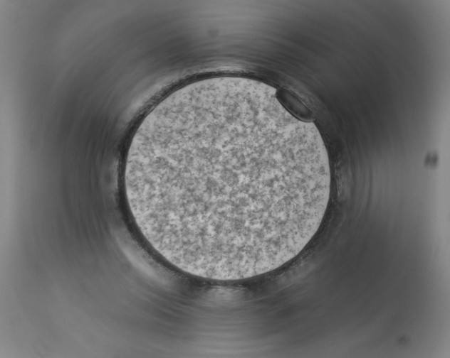 X0000112850350200909181742