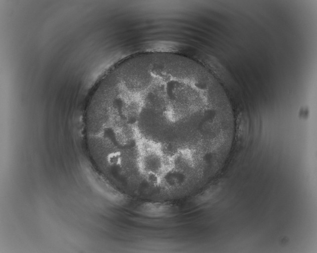 X0000112850351200909181742