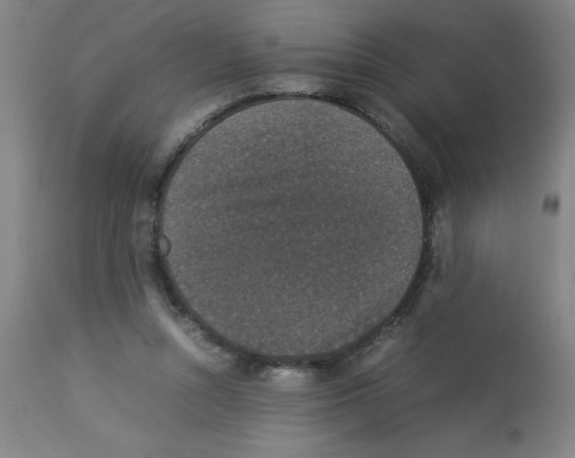 X0000112850352200909181742