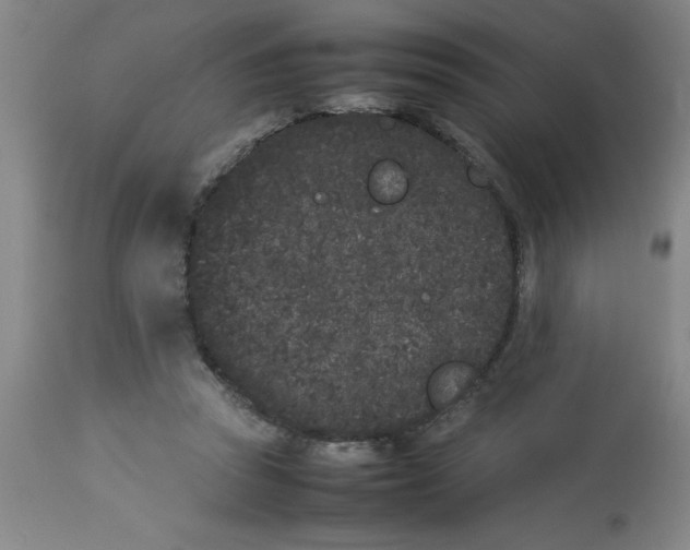 X0000112850353200909181742