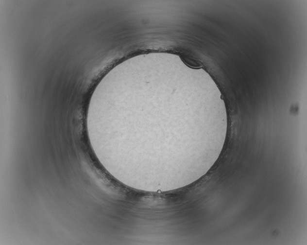 X0000112850354200909181742