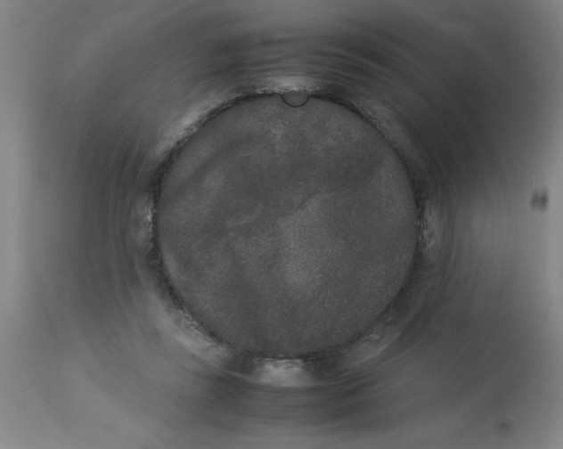 X0000112850355200909181742