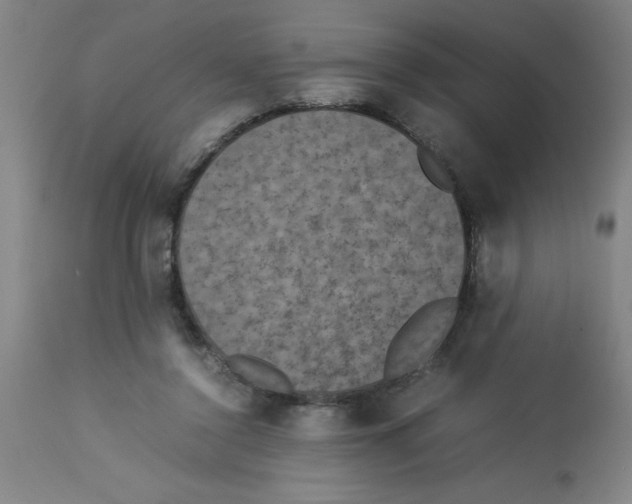 X0000112850356200909181742