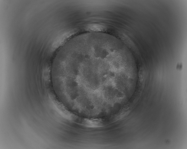 X0000112850359200909181742