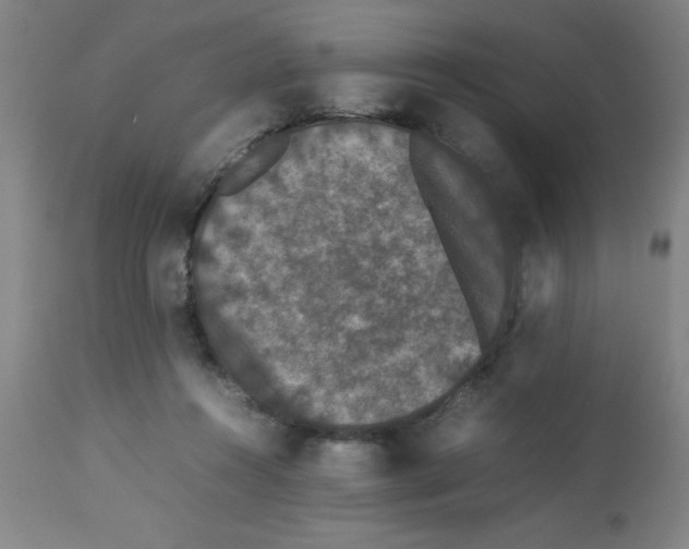 X0000112850360200909181742