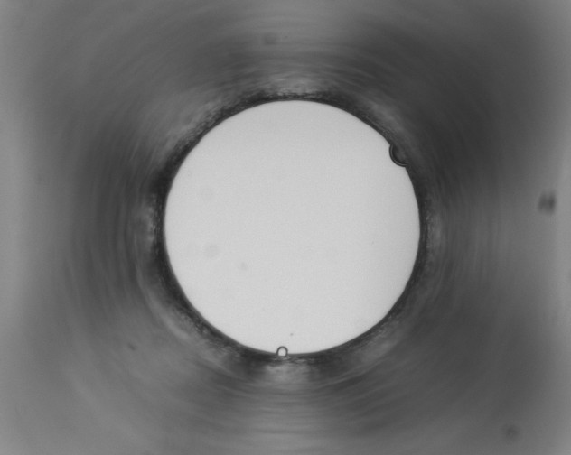 X0000112850362200909181742