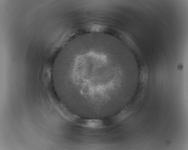 X0000112850363200909181742