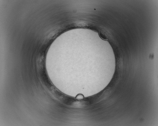 X0000112850364200909181742