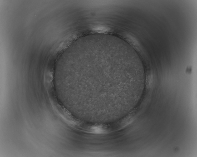 X0000112850365200909181742