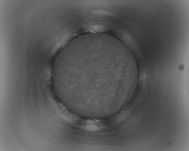 X0000112850367200909181742