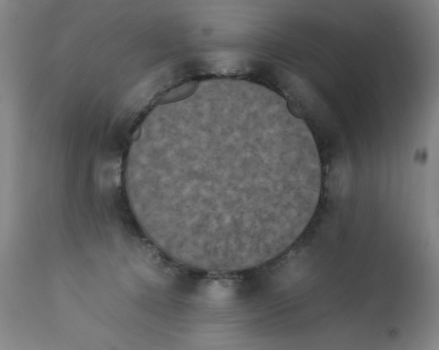 X0000112850368200909181742