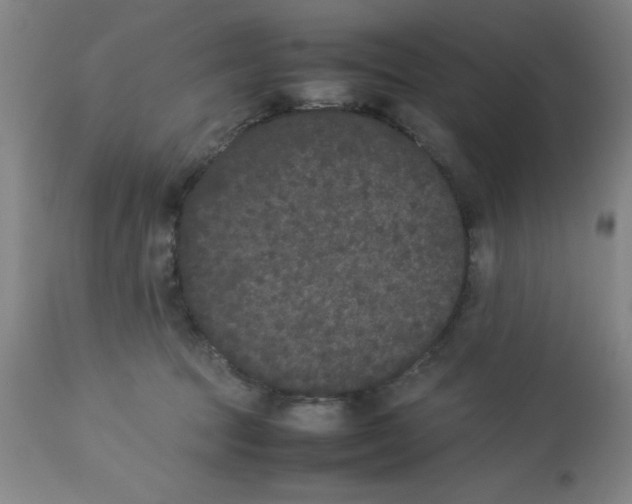 X0000112850369200909181742