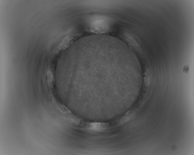 X0000112850371200909181742