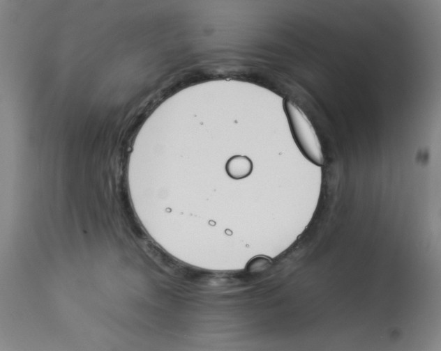 X0000112850372200909181742