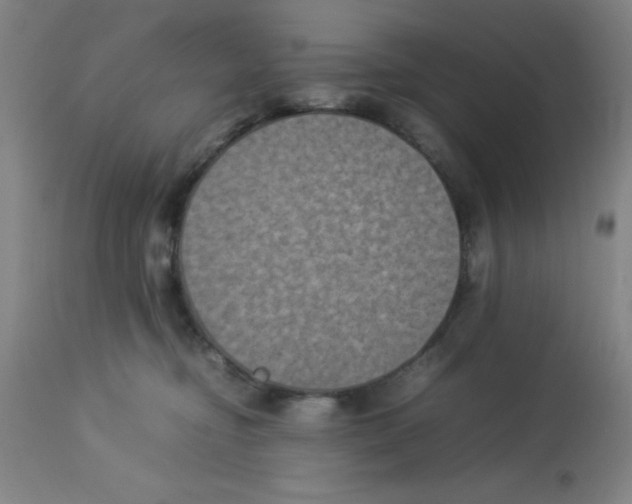 X0000112850374200909181742