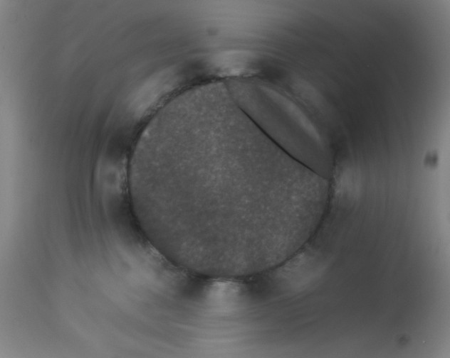 X0000112850376200909181742