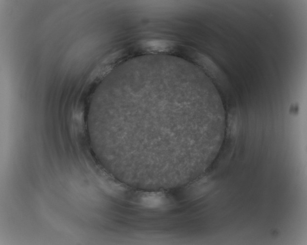 X0000112850377200909181742