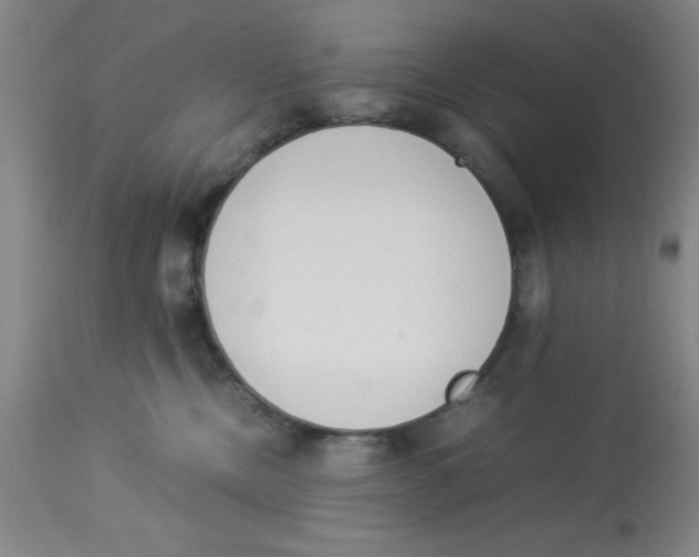 X0000112850378200909181742