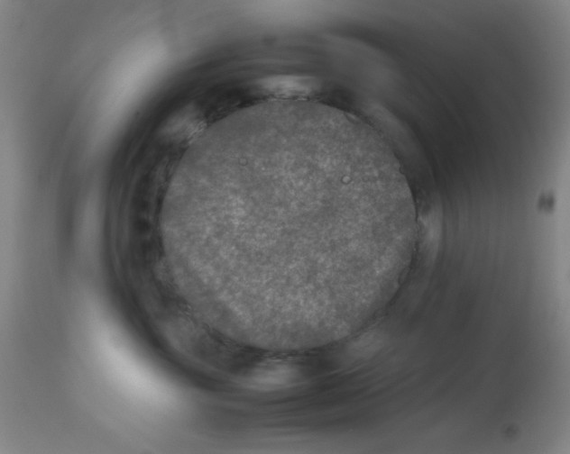 X0000112850381200909181742