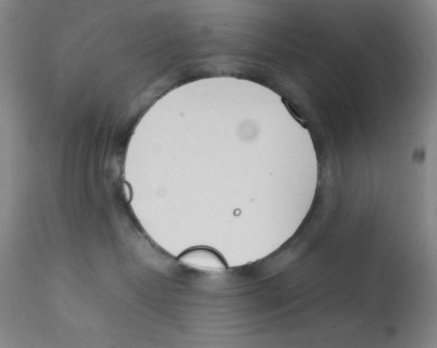 X0000112850382200909181742