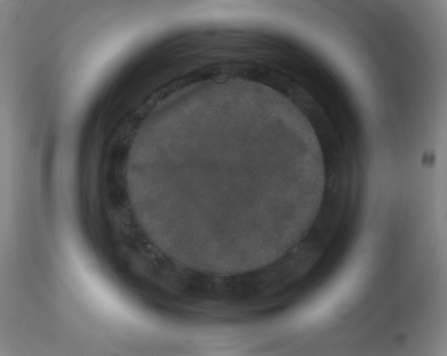 X0000112850383200909181742