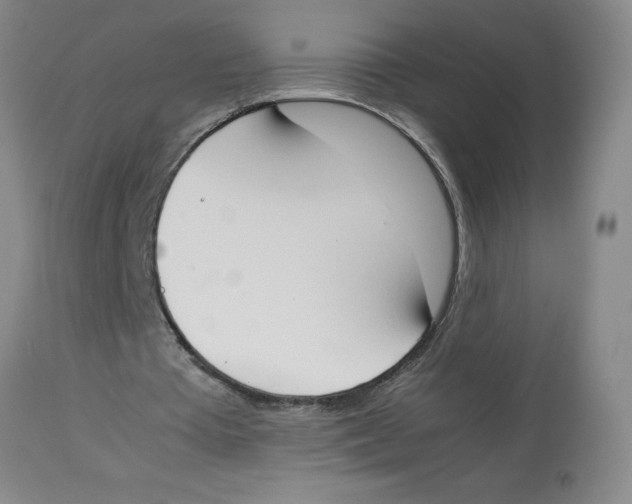 X0000112850385200909181741