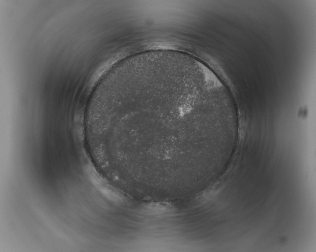 X0000112850386200909181741