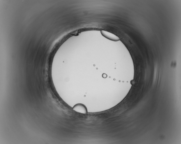 X0000112850388200909181741