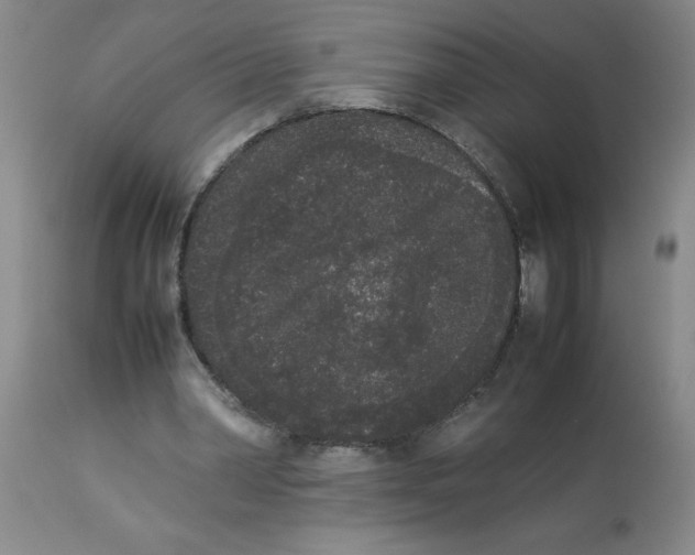 X0000112850390200909181741