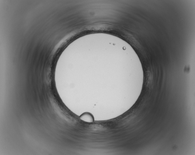 X0000112850392200909181741