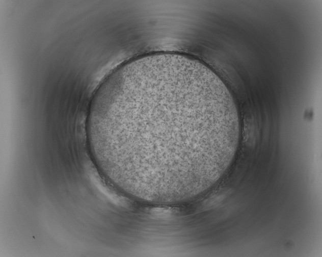 X0000112850394200909181741