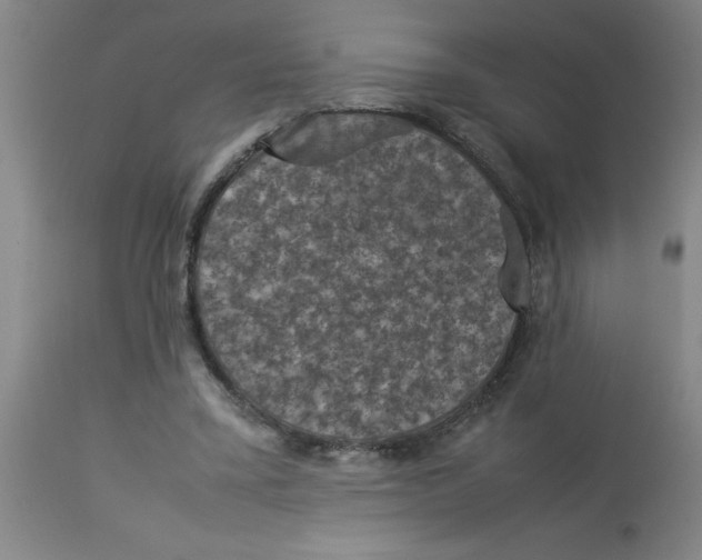 X0000112850395200909181741