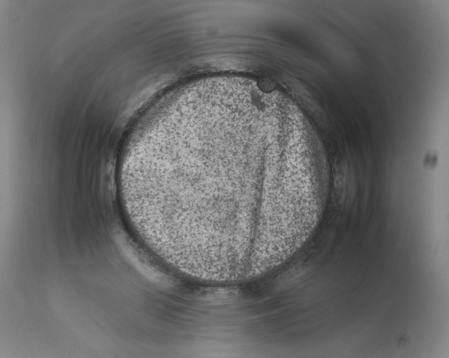 X0000112850398200909181741