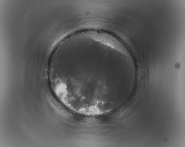 X0000112850399200909181741