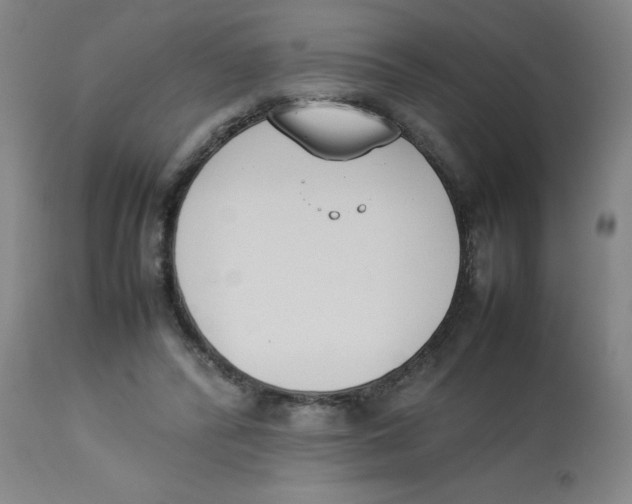 X0000112850400200909181741