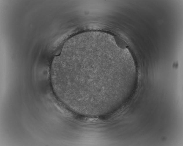 X0000112850401200909181741