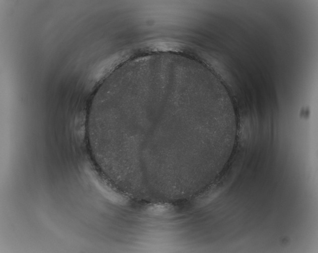 X0000112850402200909181741