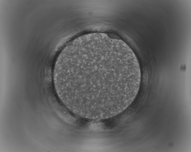 X0000112850403200909181741