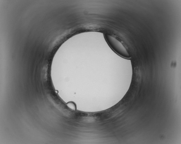 X0000112850404200909181741