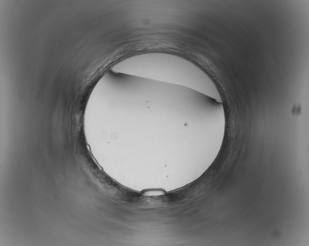 X0000112850405200909181741