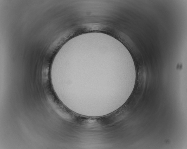 X0000112850406200909181741