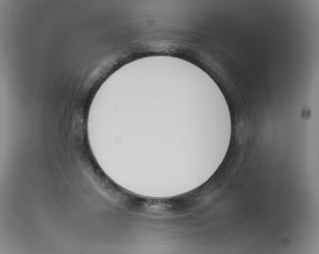 X0000112850407200909181741